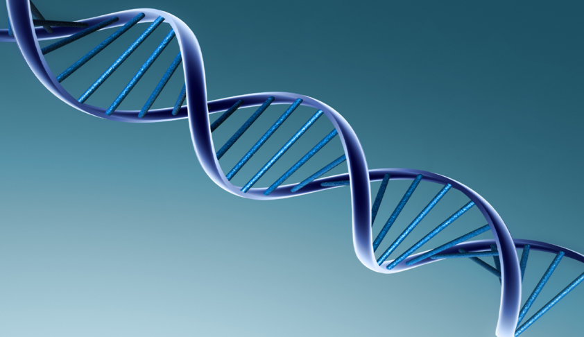 US Supreme Court rules natural human genes cannot be patented [Download Judgment]