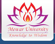 Mewar University and J&K Study Centre Essay Competition
