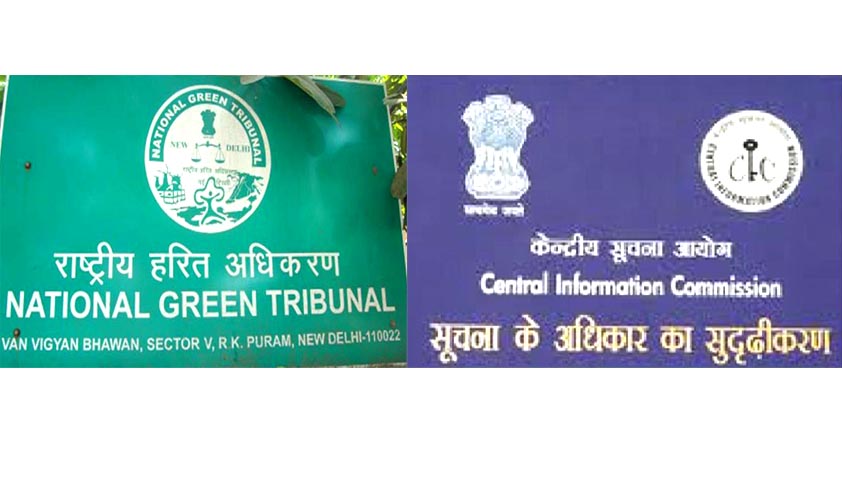 Exclusive; Direction by CIC to NGT for clarification on use of NGT Chairpersons car [Read the Order]