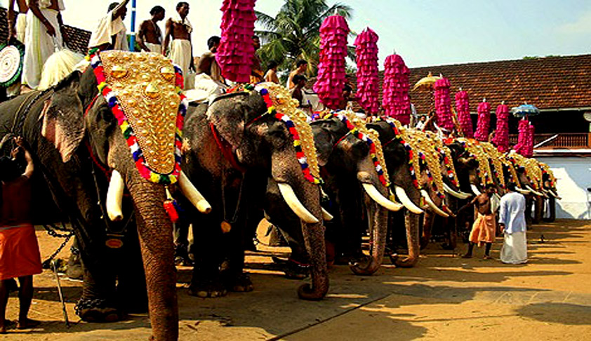Can any Person keep an Elephant in Custody? What are the Rules? SC to hear the matter on April 27 [Read Todays Order]