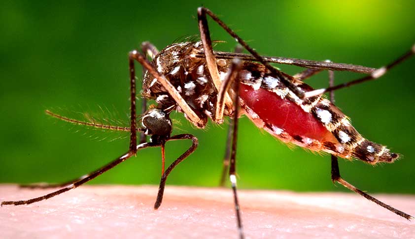 Chikungunya: SC Slams AAP Govt For Delay In Affidavit To Prove “Non-Cooperation By Officials”