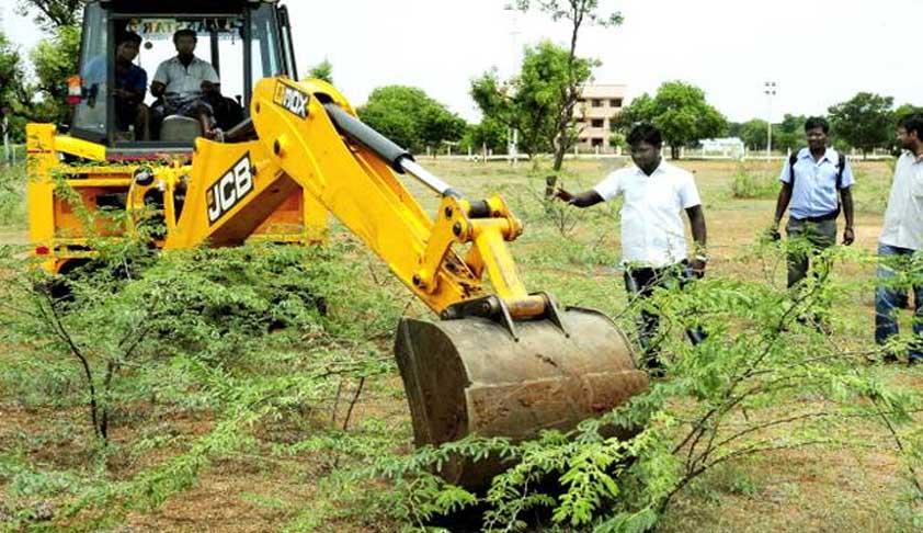 TN Sessions Judge Tells Accused To Remove 100 Karuvel Trees Within 20 Days In Bail Order [Read Order]