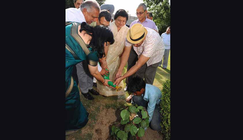 Delhi HC Observes Environment Day With Green Pledge And Planting Trees At Various Court Premises