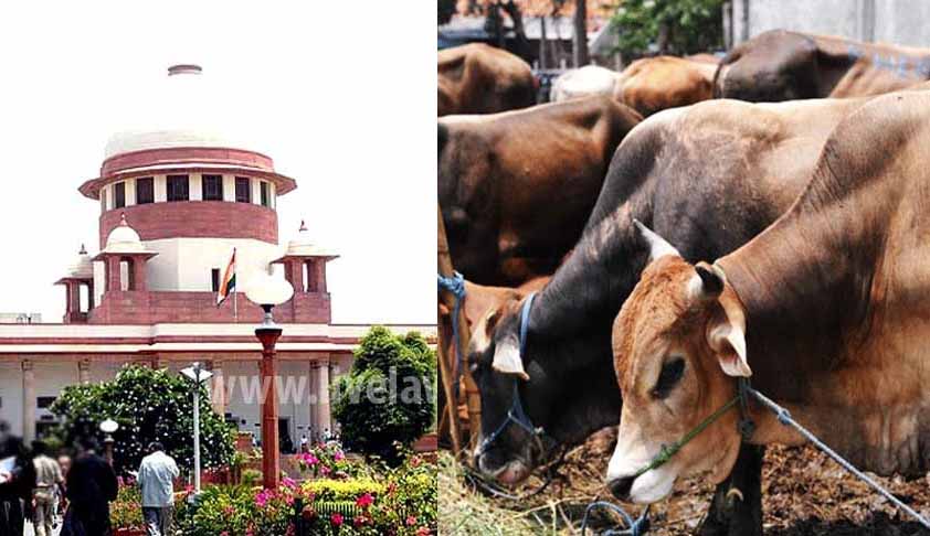 Supreme Court Orders And New Cattle Rules