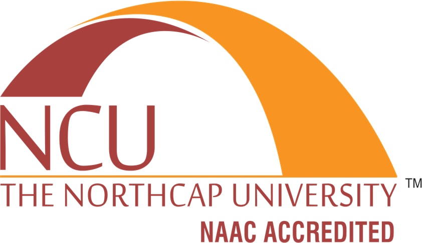 3rd NorthCap University Client Consultation Competition 2017
