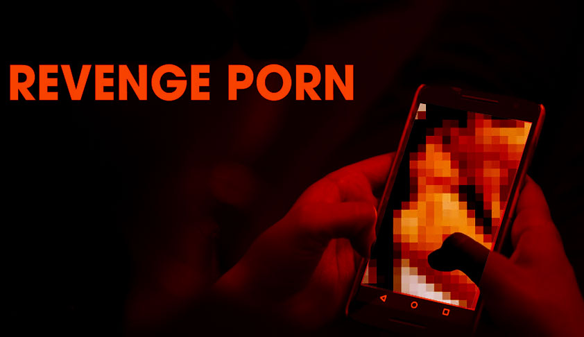 Criminalizing Revenge Porn From The Privacy Aspects: The Model Revenge Porn Prohibitory Provision