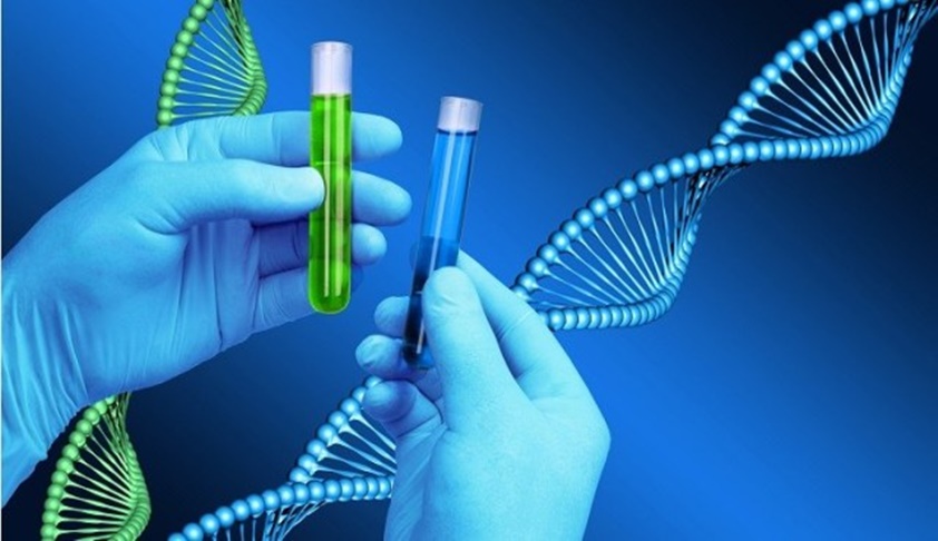 #WheresTheDNA: Strengthening Investigations by DNA Profiling