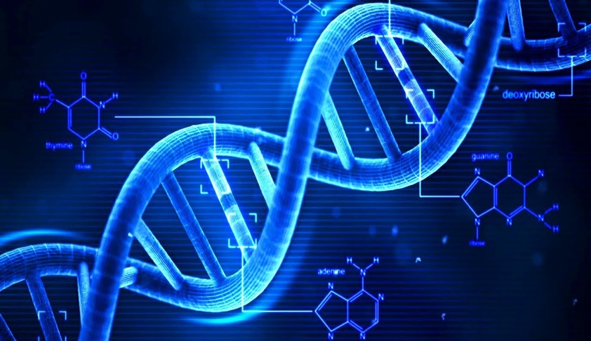 The Science Underlying Use Of DNA Evidence To Solve Crime