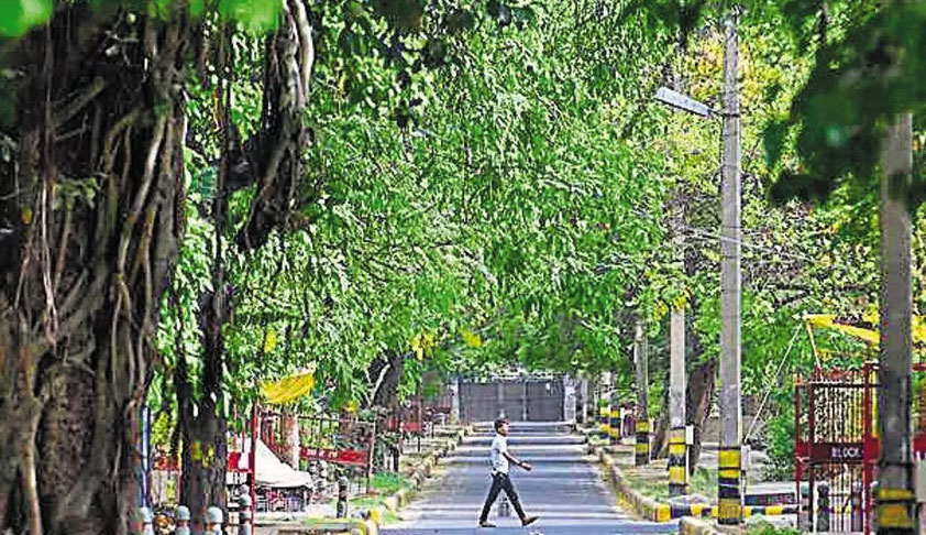 Delhi HC Stays Felling Of 20,000 Trees For Redevelopment Of South Delhi Colonies Till 4 July