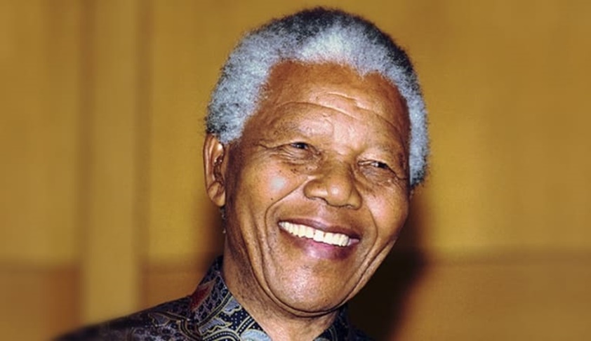 South African Govts Plea To Put Up Nelson Mandela Statue In Delhi: HC Seeks Centres Stand