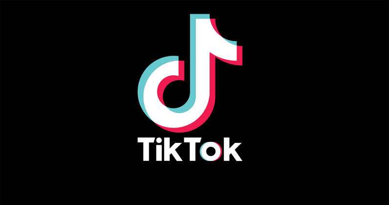 Dangerous For Children: Madras HC Prohibits Downloading Of TikTok Mobile Application [Read Order]