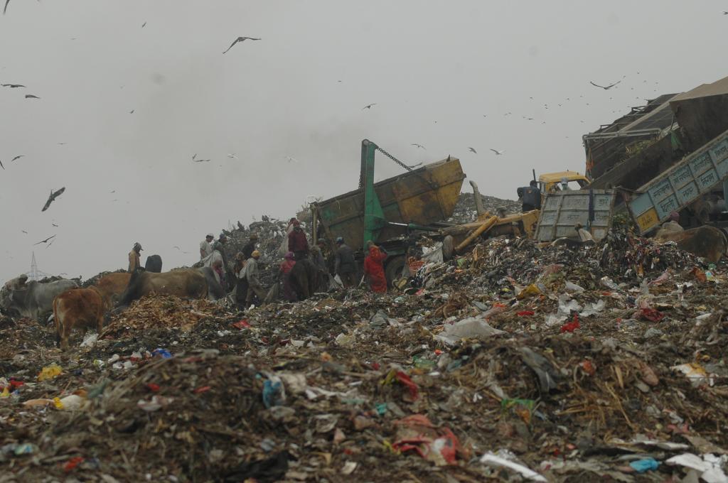 Air Pollution Due To Solid Waste Management Plant: NGT Directs Karnataka Pollution Control Board To Take Action [Read Order]