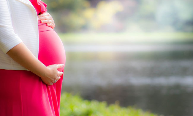 Detected With Multiple Abnormalities, Karnataka HC Allows Woman To Terminate 31-Week Pregnancy [Read Order]