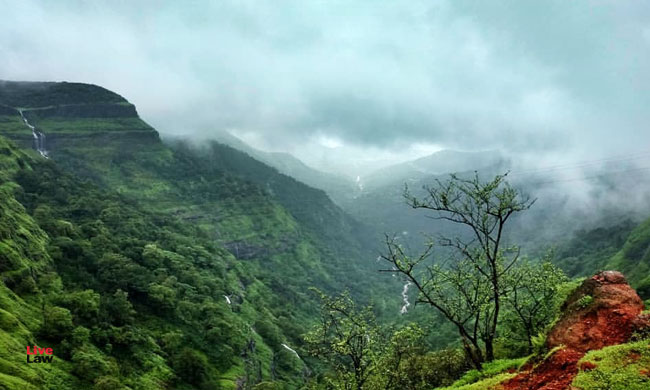 NGT Imposes 27L Cost On MoEF For Delaying The Zonal Master Plan For Eco Sensitive Zone Of Matheran [Read Order]