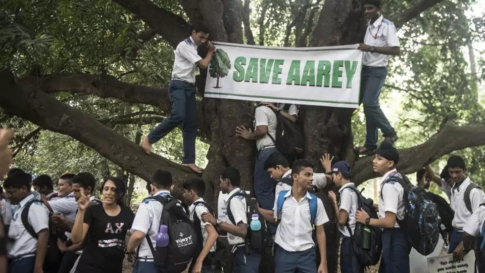 Aarey : SC Extends Status Quo On Tree Felling; Clarifies That There Is No Stay On Metro Project