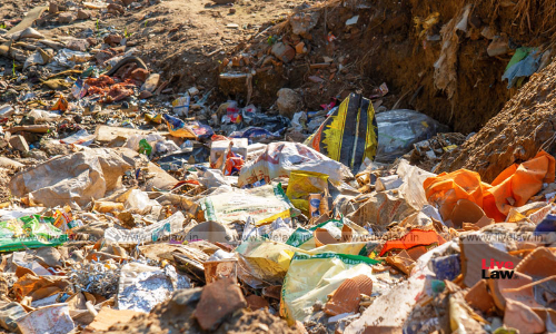 Citizens Have Right To Clean Streets: Bombay High Court Flags Inactive Civic Machinery, Calls For Action Against Public Garbage Dumping