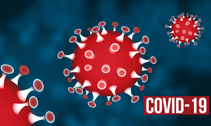 COVID-19: How World Health Organization Names New Infectious Diseases?[Read Guidelines]