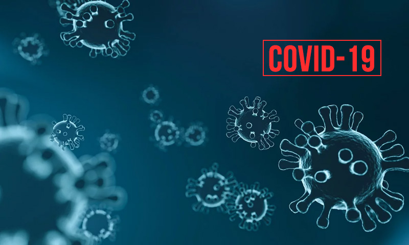Coronavirus And The Constitution