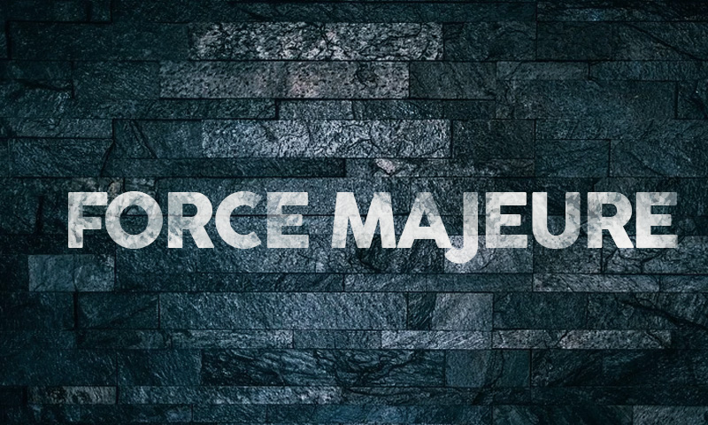 [Force Majeure] Taking Cue From Courts: What Worked, What Didnt