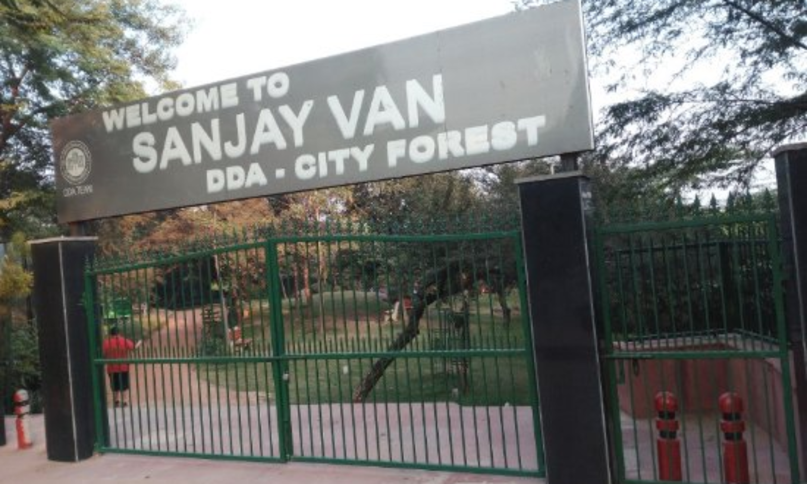 Ensure That There's No Encroachment In Sanjay Van, Delhi HC Directs DDA  After Taking Suo Moto Cognisance [Read Order]