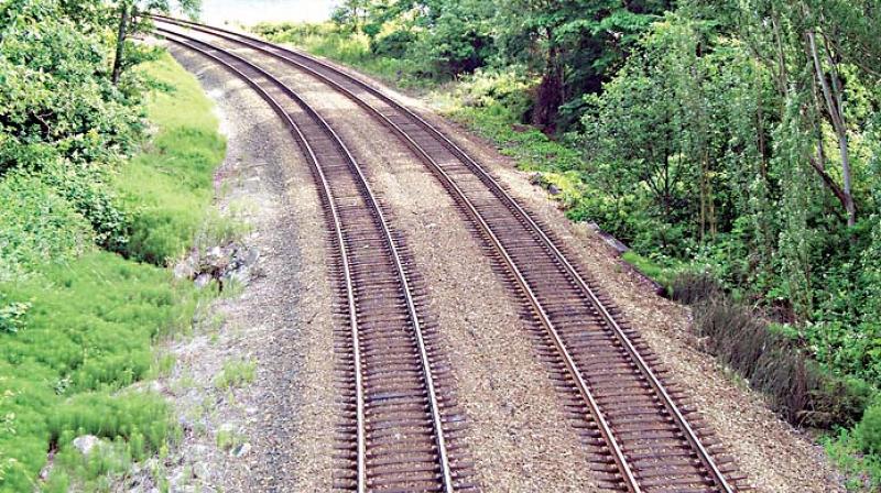 Hubbali-Ankola Rail Line : Karnataka HC Extends Stay On Wildlife Board Decision Allowing Diversion Of Forest Land