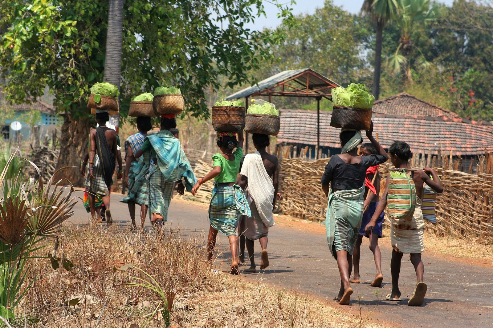 From The State To The Adivasis : Compensation In Lieu Of Development