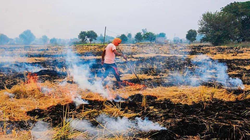 SC Is Already Seized With This Matter, Delhi HC Refuses To Further Monitor Plea Seeking Stern Measures To Prevent Stubble Burning In Punjab, Haryana And UP