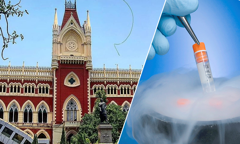 If Married, Only Dead Mans Wife Has Right Over Preserved Sperm; Father Doesnt Have Any Right Over Sons Progeny: Calcutta High Court