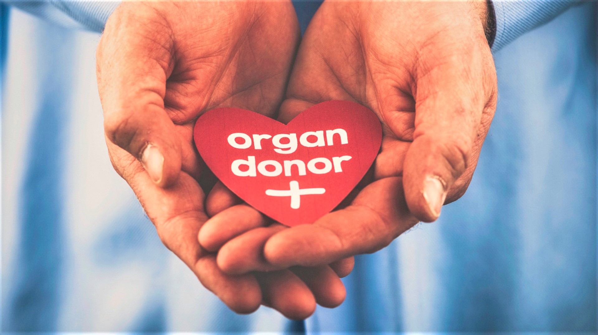Organ Transplant: Bombay High Court Directs Hospital To Decide In Two Days Minors Request To Donate Liver To Her Ailing Father