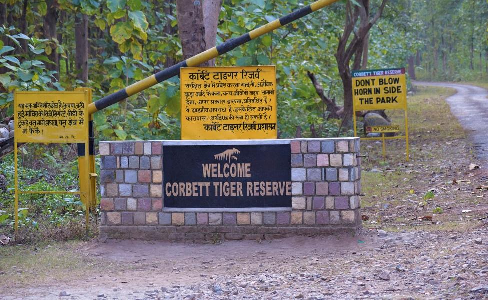 Supreme Court Stays Jim Corbett National Park Directors Order Allowing Private Buses In Core Area Of Tiger Reserve