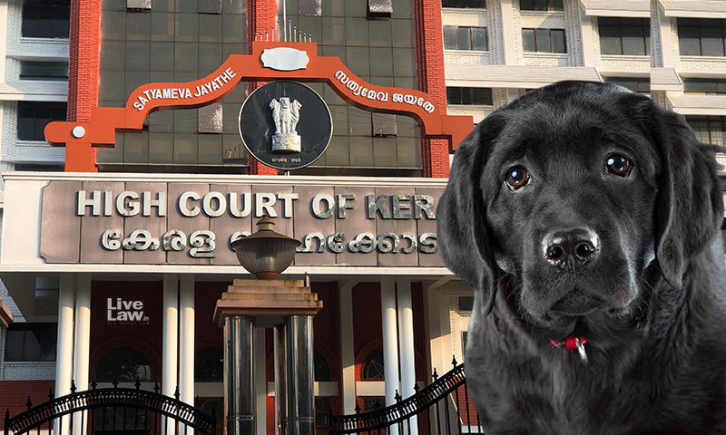 In Re: Bruno - Animal Owners Shall Register The Animals With Local Self Govt Bodies Within Six Months: Kerala High Court
