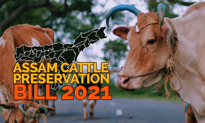 No Beef Sale Near Temples: Assam Govt. Introduces Assam Cattle Preservation Bill, 2021 In State Assembly