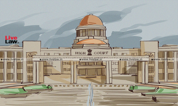 Allahabad High Court Allows For Termination Of Pregnancy Of 14-Yr Old Rape Victim; Directs State Govt To Provide For All Medical Expenses