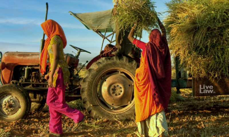 Inheritance Of Agricultural Land By Women: There Is Distance Yet To Travel