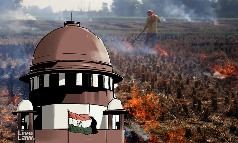 Farmer Bashing Has Become A Fashion Now; Stubble Burning Not The Only Reason For Pollution: Supreme Court Asks About Firecracker Ban, Vehicular Emissions