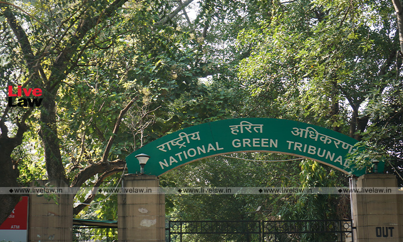 NGT Steps In On Concretization Of Storm Water Drain, Buffer Zone In Ghaziabad