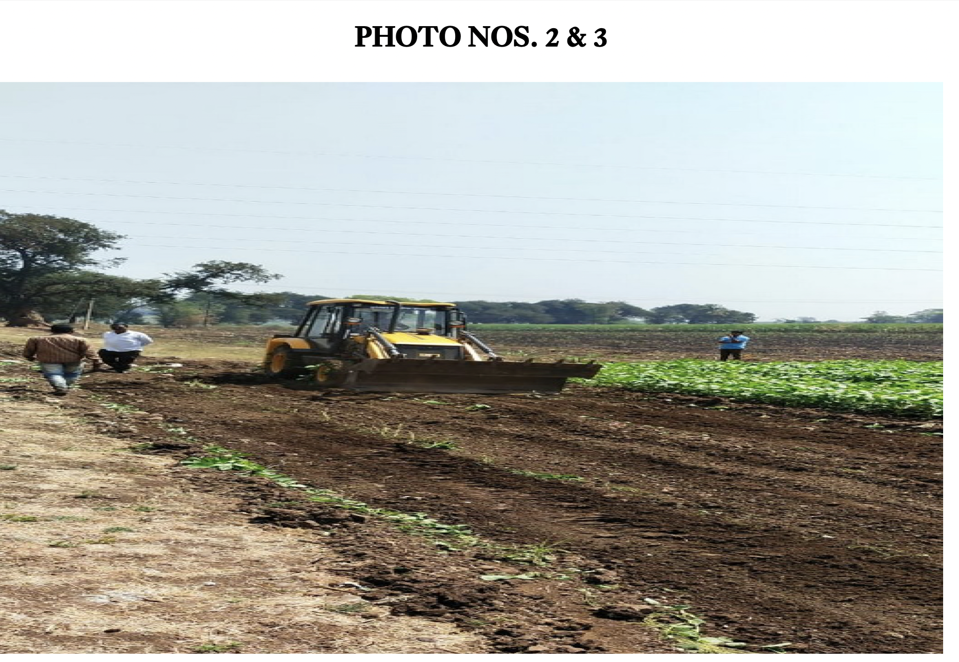 Photo annexed in the judgment showing petitioners crops being destroyed by civic officials