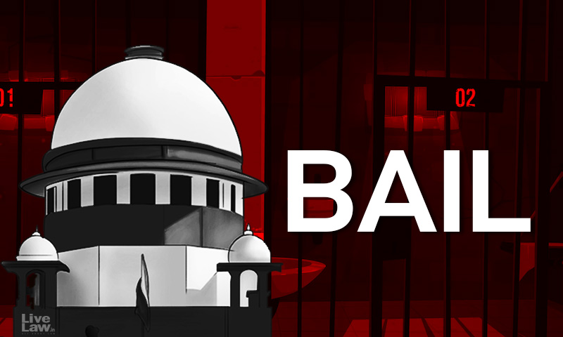 To Bail or Not to Bail?