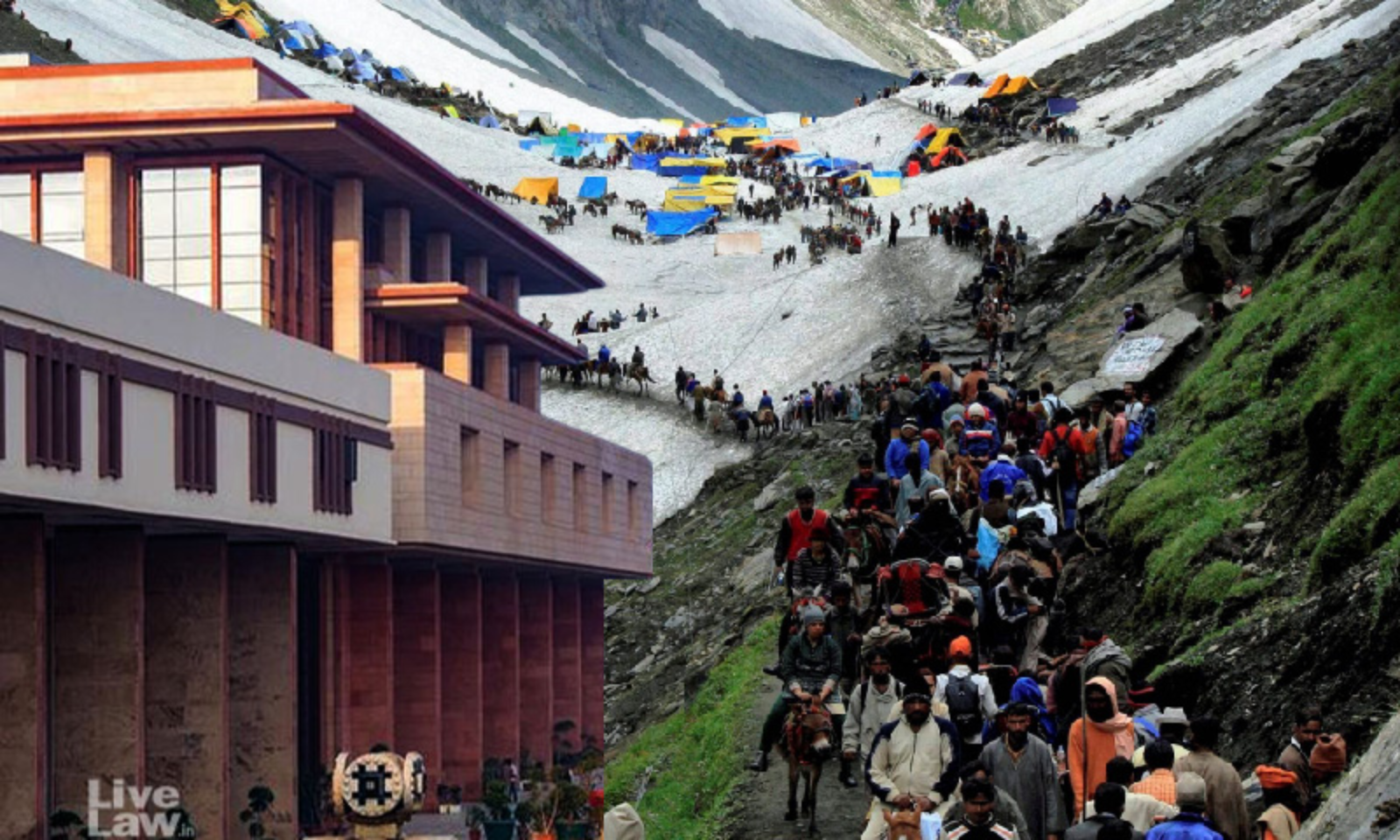 Amarnath Yatra: Delhi High Court Seeks Response From Shrine Board On Plea  To Curb Black Marketing In Helicopter Bookings