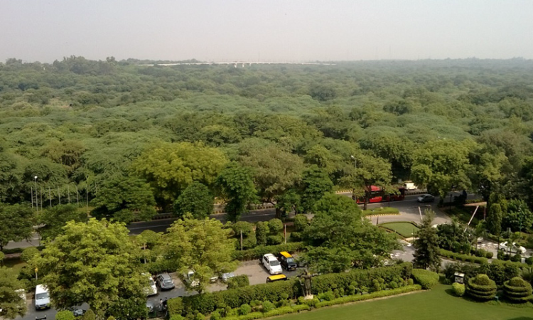 An Endeavour To Replenish The Green Necklace Of The National Capital