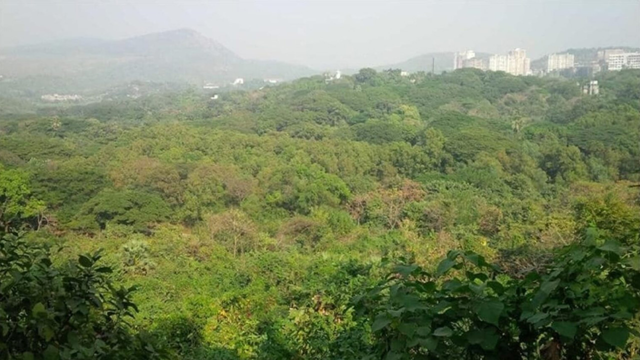 Bombay High Court Expresses Strong Displeasure On Forest Authorities And Revenue Department In Private Forest Land Matter Inspite Of Supreme Court Orders