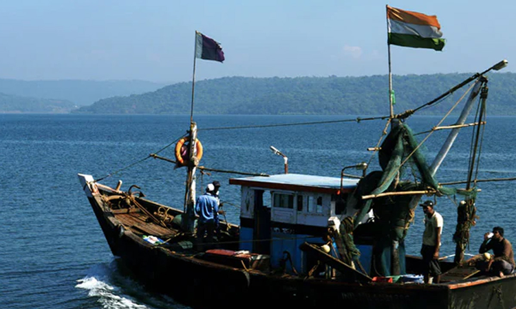 Greenpeace - Philippine Purse Seine Fishing Operation