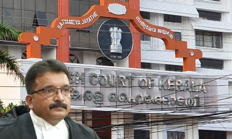 Kerala Rep Sex - No Specific Allegation Of False Promise of Marriage': Kerala High Court  Quashes Rape Case Against Lawyer