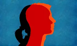 Rajasthan High Court Deletes Earlier Remarks On Transgender Bill 2026, Uploads Updated Version