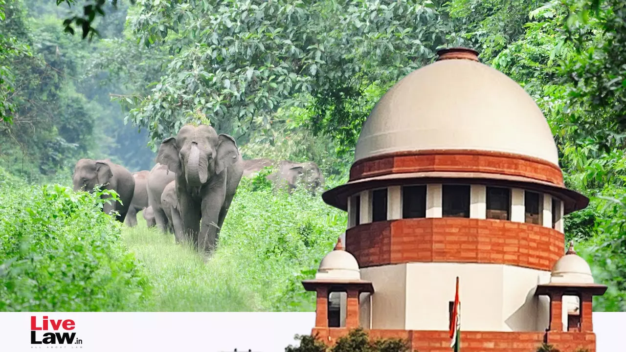 Supreme Court Asks MoEFCC To Respond To Recommendation To Convert Project Elephant Into A Statutory Agency