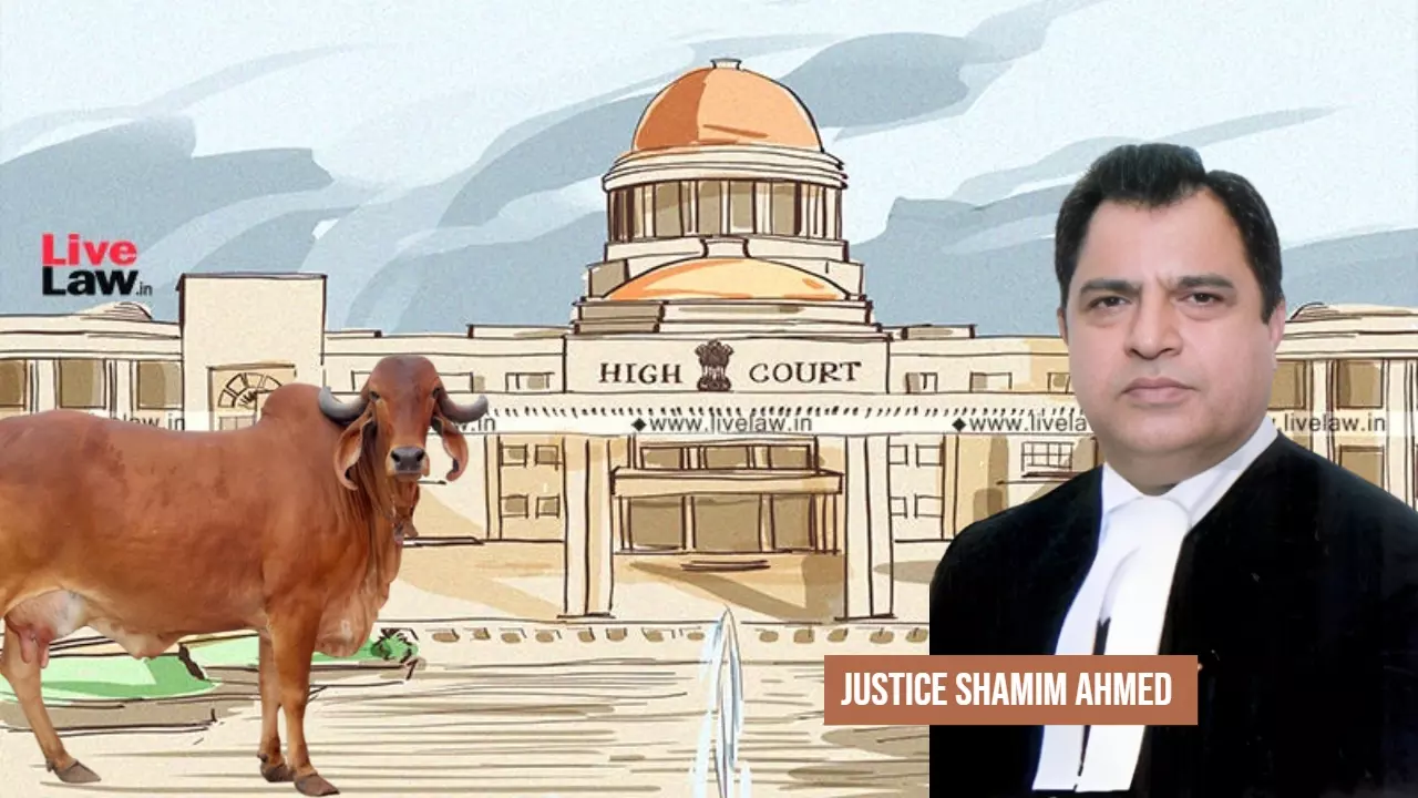 Cow Killers Rot In Hell; Expect Central Govt To Ban Cow Slaughter, Declare  It A Protected National Animal': Allahabad HC