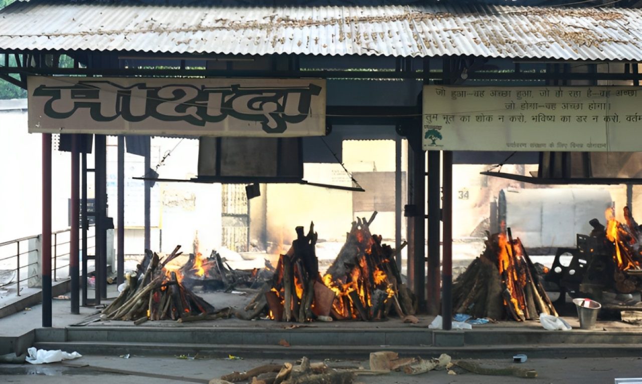 ‘Dignity Extends Beyond Death’: Allahabad HC Steps In As Stray Animals Desecrate Human Remains At Lucknow …