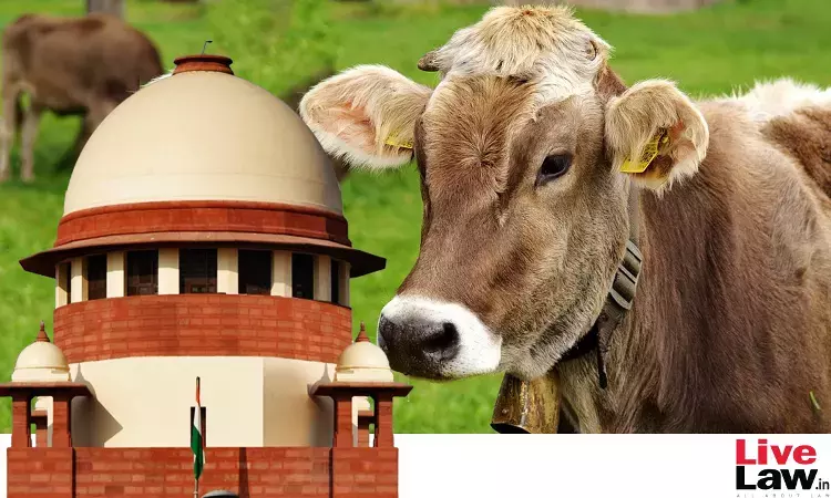 Tamil Nadu Govt Moves Supreme Court Against Madras High Court Order Banning Cow Slaughter Tamil Nadu Govt Moves Supreme Court Against Madras High Court Order Banning Cow Slaughter