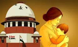 Cruelty Of The Highest Order: Supreme Court Raps Husband For Depriving Wife Access To 6-Month Old Twins Cruelty Of The Highest Order: Supreme Court Raps Husband For Depriving Wife Access To 6-Month Old Twins