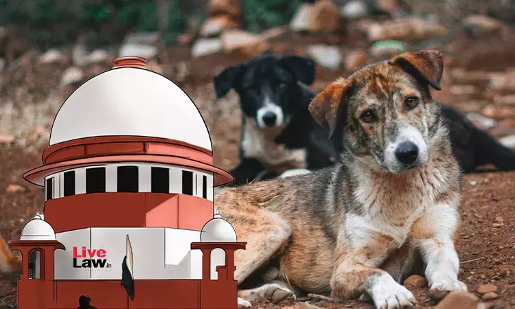Supreme Court Reserves Orders In Stray Dogs Case; Asks AWBI To Expedite Centres Applications For Recognition